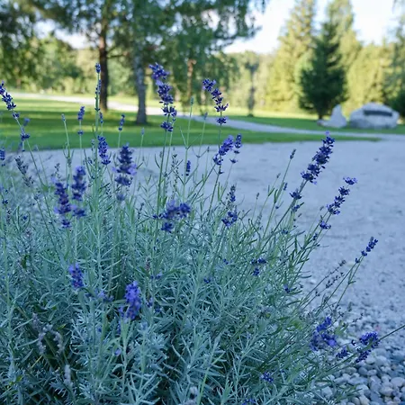 公寓 Radhostsky Rybnik